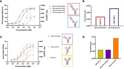 Using protein geometry to optimize cytotoxicity and the cytokine window of a ROR1 specific T cell engager